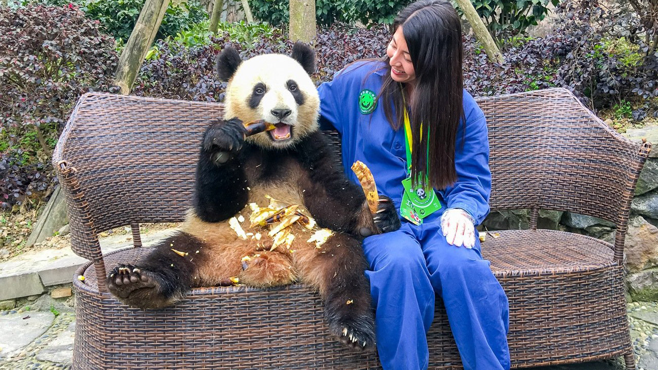 TRÙNG KHÁNH - THÀNH PHỐ CYPER PUNK (TN)